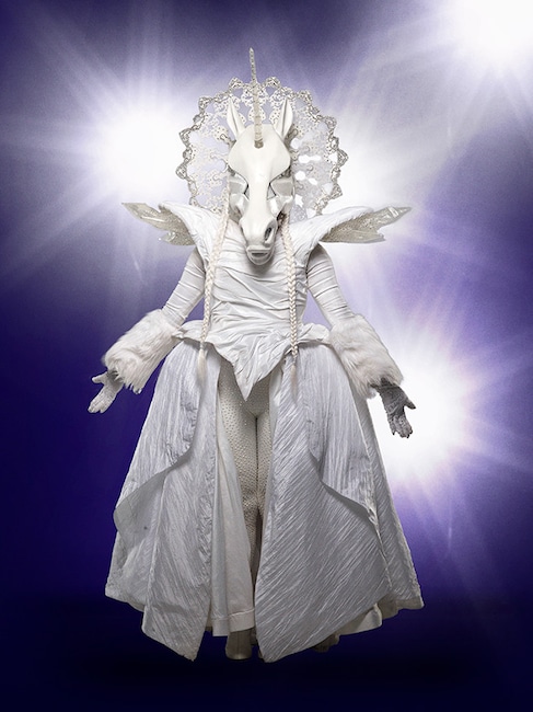 Meet The Masked Singer S Celebrity Competitors In All